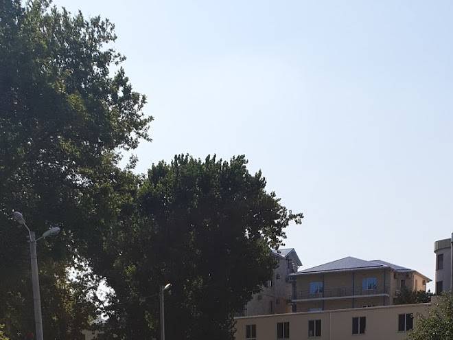 Hotel dionisyi