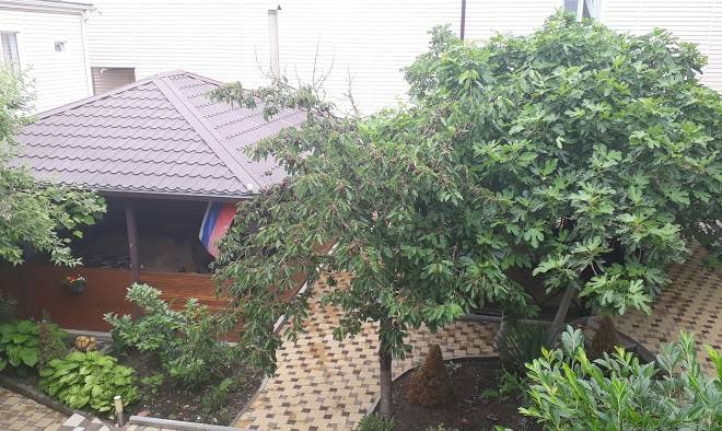 Green paradise