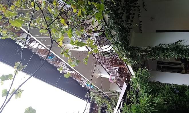 Hotel randevu plus
