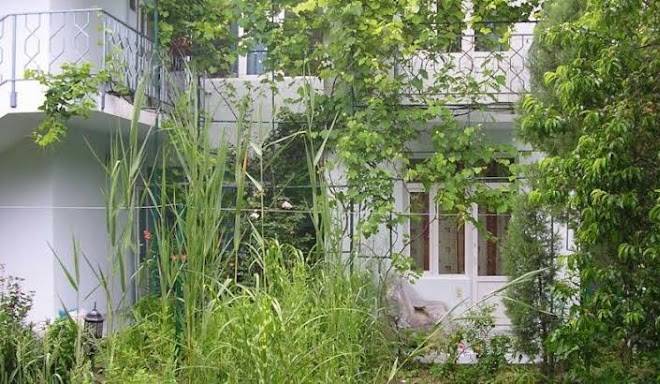 Uyutnyi Dvorik Image