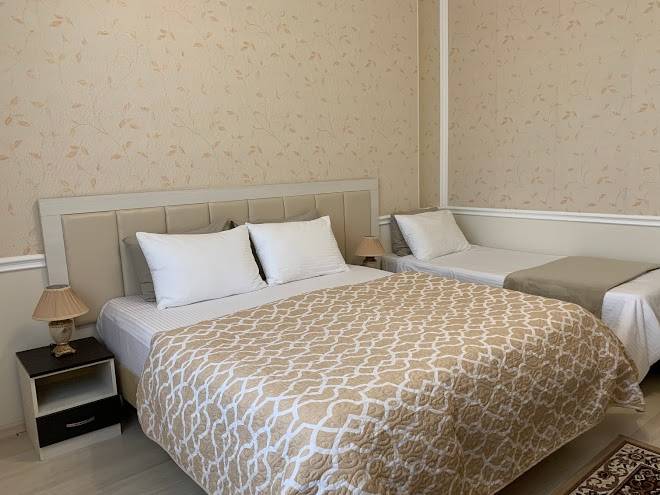 Otel' mir