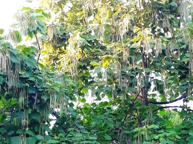 Mini Hotel Uyut Image