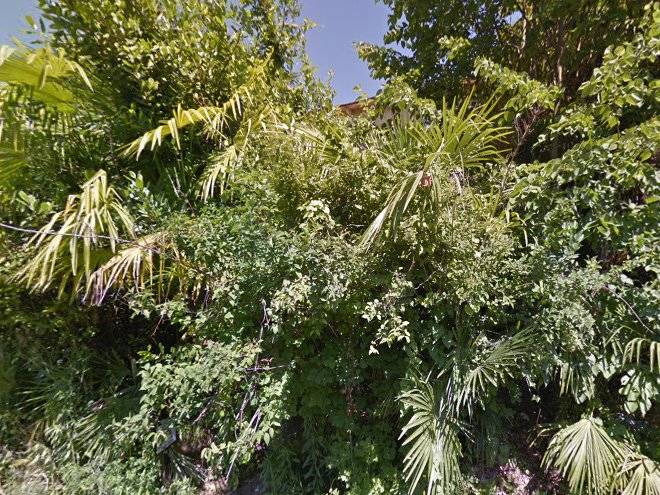 Mishilen Detox & Wellness Image