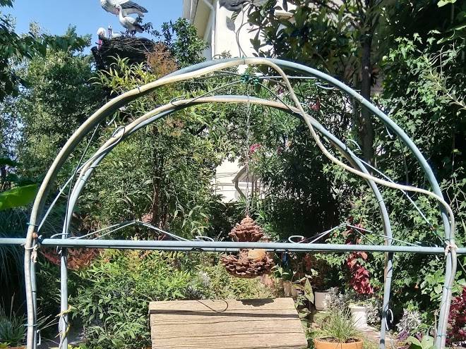 Natasha Chastnaya Gostinitsa Image