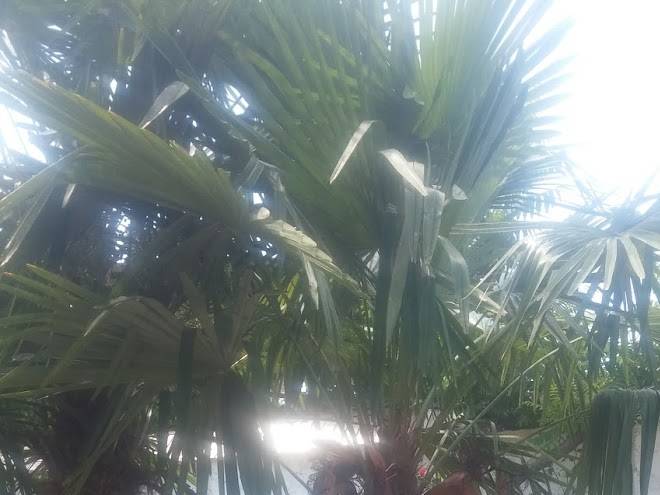 Hotel Yuzhanka Image