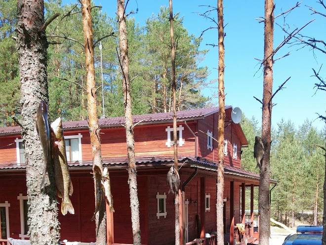 Rybolovno ohotnichya baza nasosnaya