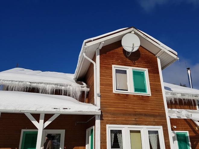 Lesnyye Ozorki Image