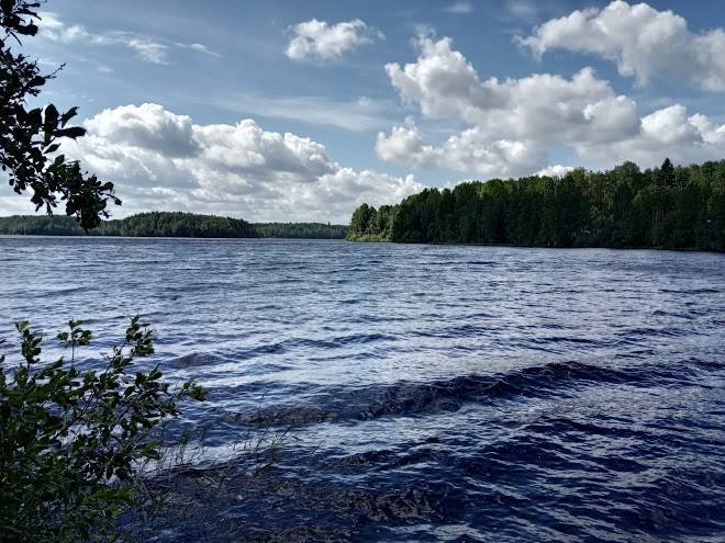 Lyubimovskaya