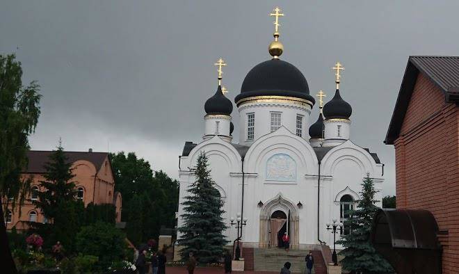 Donskoy les