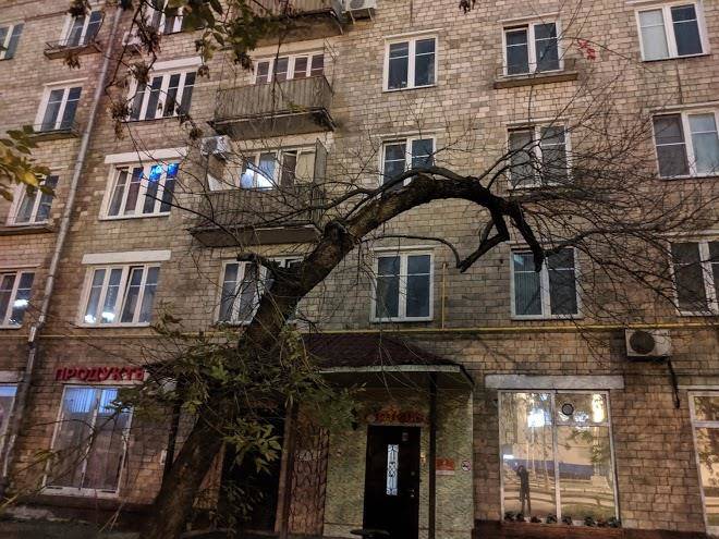 Otel' apel'sin na vystavochnoy