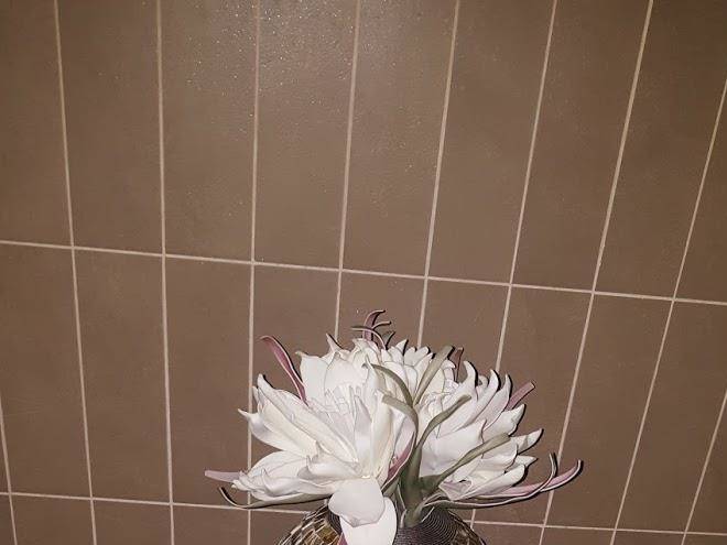 Spa mamaison