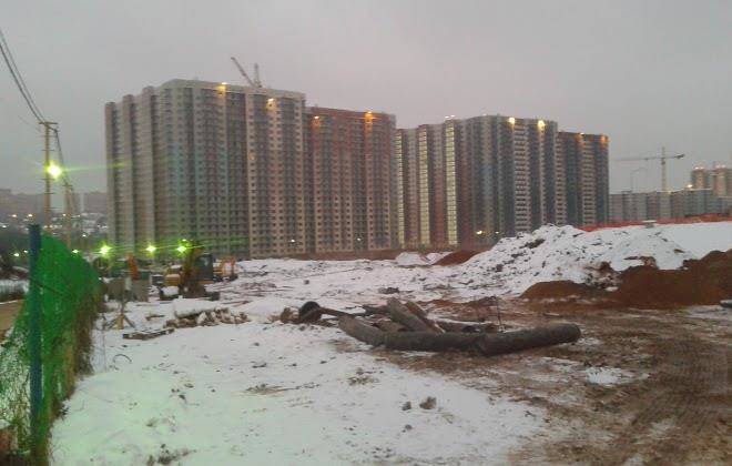 Studios Crocus Image