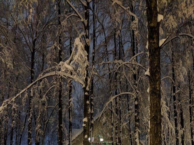Novogorsk