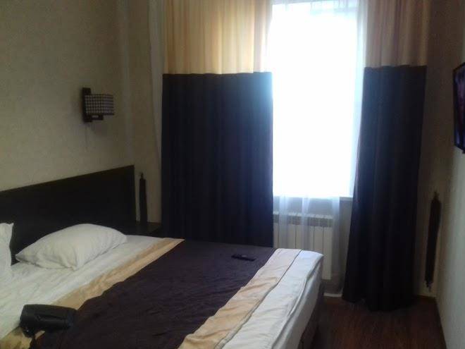 Otel' mal'vida