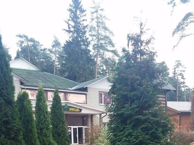 Tikhaya zavod'