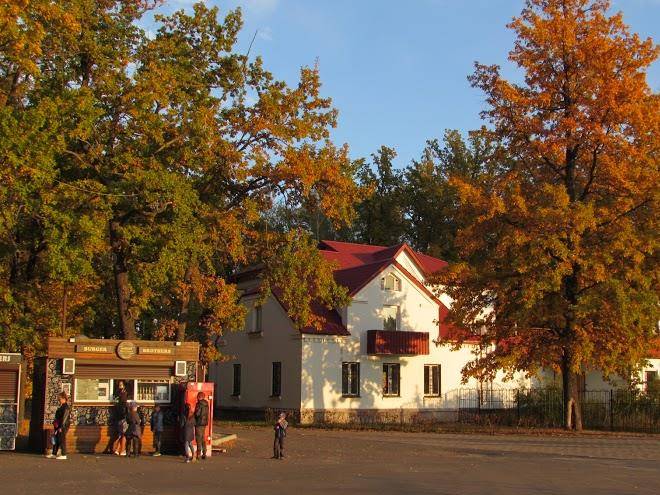 Forest hotel