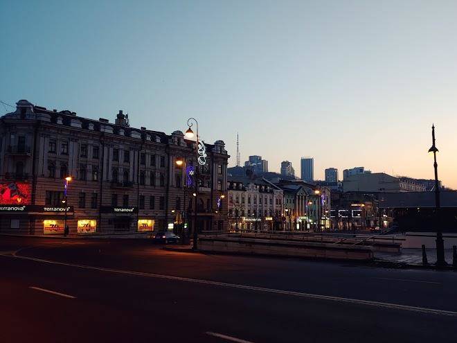 Filin i sova