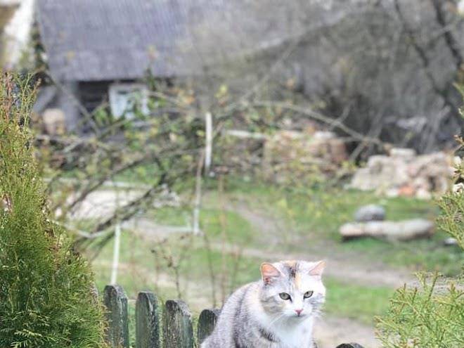 Gostinichnyy kompleks izborsk