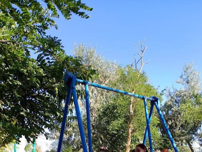 The Recreation Center Oasis Image