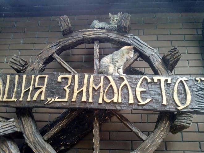 Khutor zimaleto
