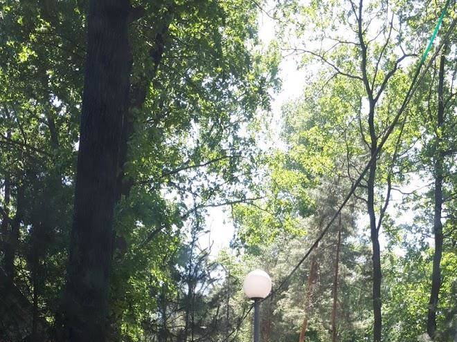 Holiday Park On Chemordachka Image