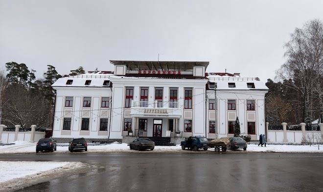 Borovnitsa