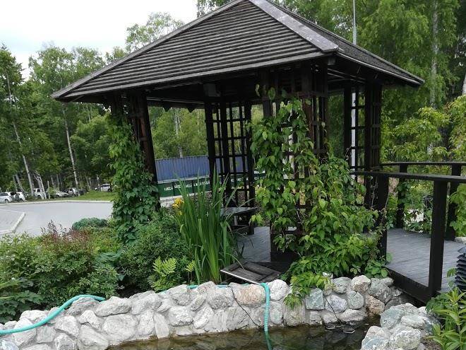 Sinegorsk Mineralnye Vody Image