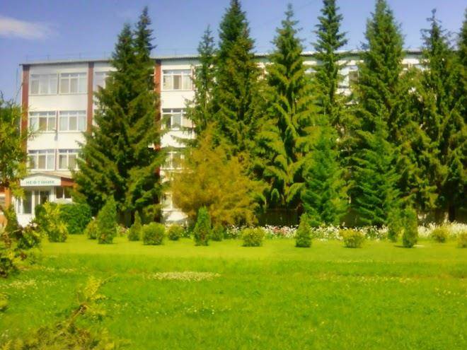 Sanatorium neftyanik