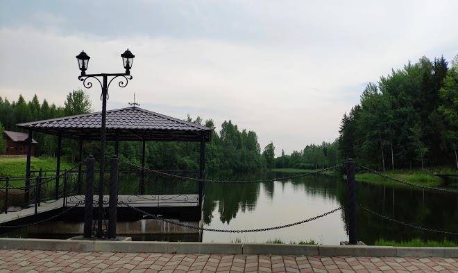 Zvezdnyy