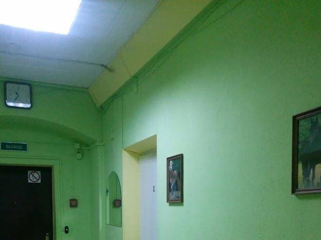 Neva plus mini hotel