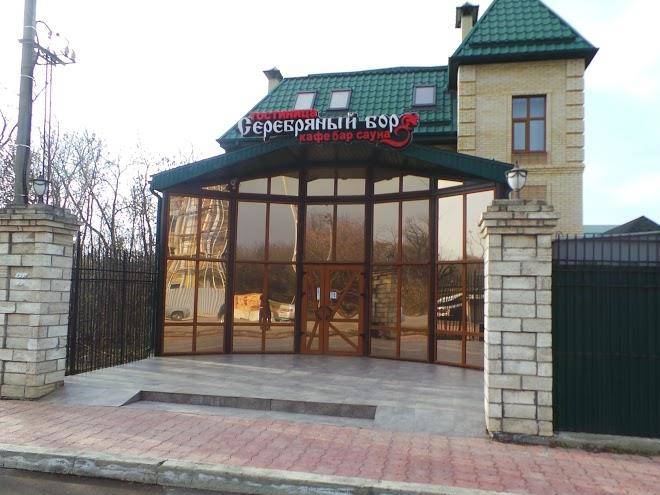 Serebryanyy bor