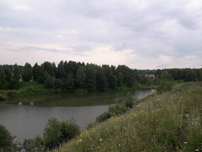 Ecoferma kaensar