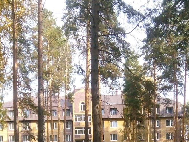 Sanatoriy sosnovy bor