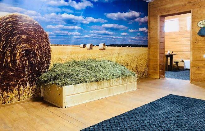 Priokskiye Zori Image