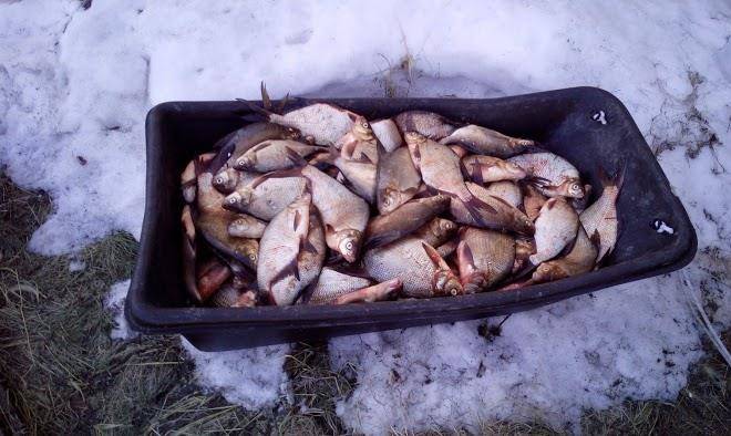 Parvana Gostinitsa Image