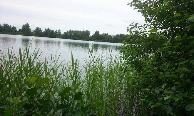 Turbaza ulybyshevo