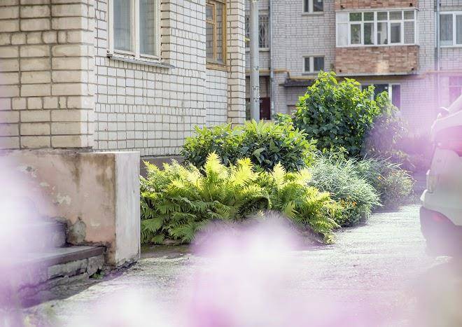 Kvartiry posutochno sovetskiy prospekt 68 nasutki35 ip kursheva ov