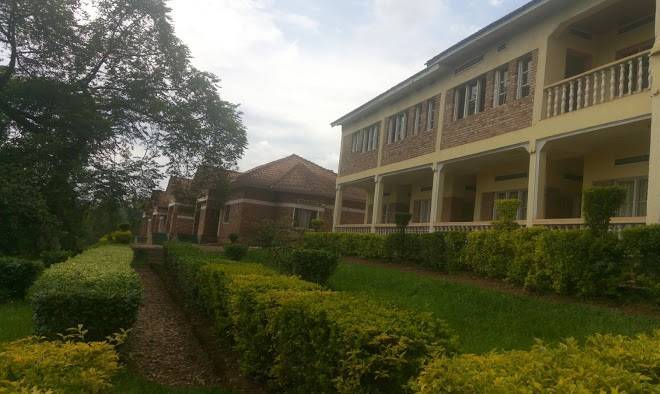 Seed of peace center