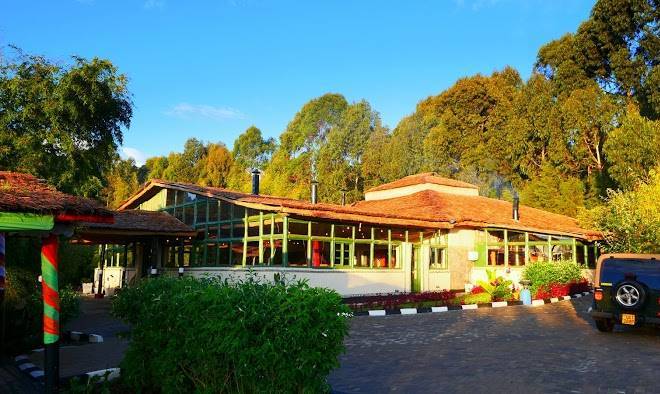 Le bambou gorilla lodge