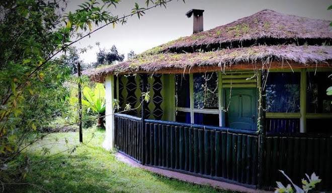 Bambou gorilla lodge