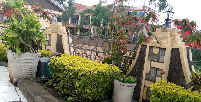 Barthos hotel
