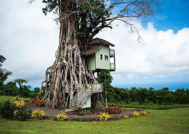Lupe sina treesort