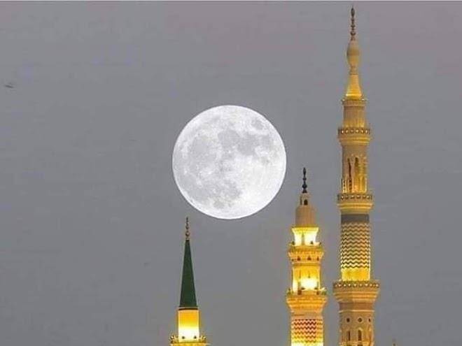Anwar al habib hotel