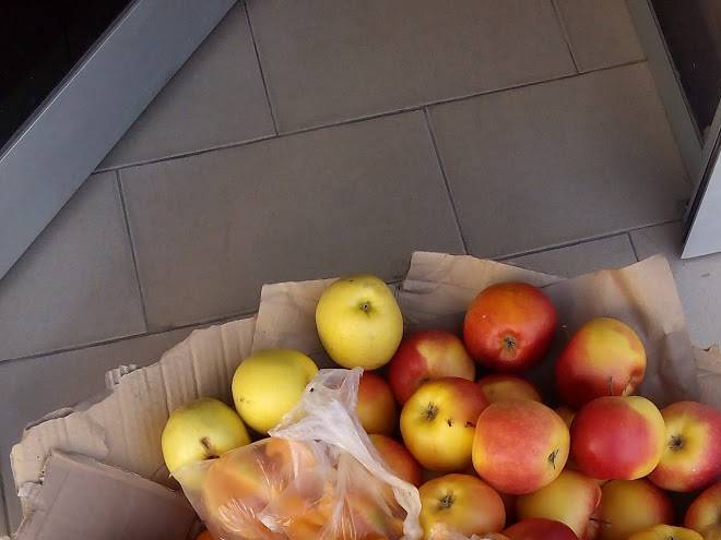 Auberge Hotel Du Lion Image