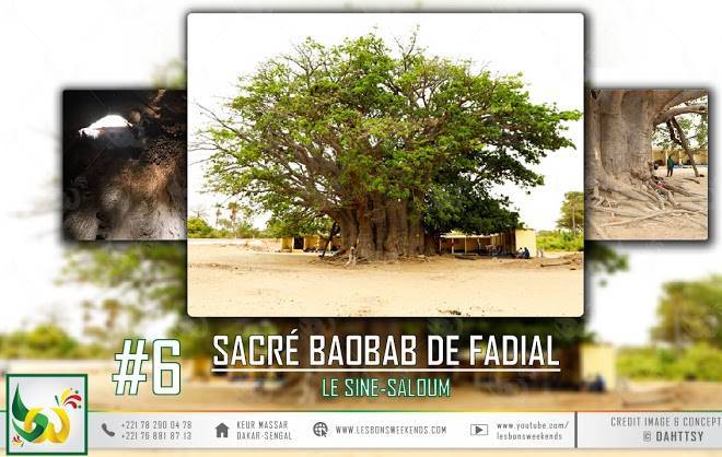 Les bons week ends du saloum