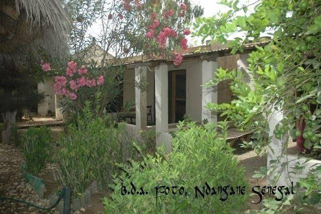 Ndimack du saloum