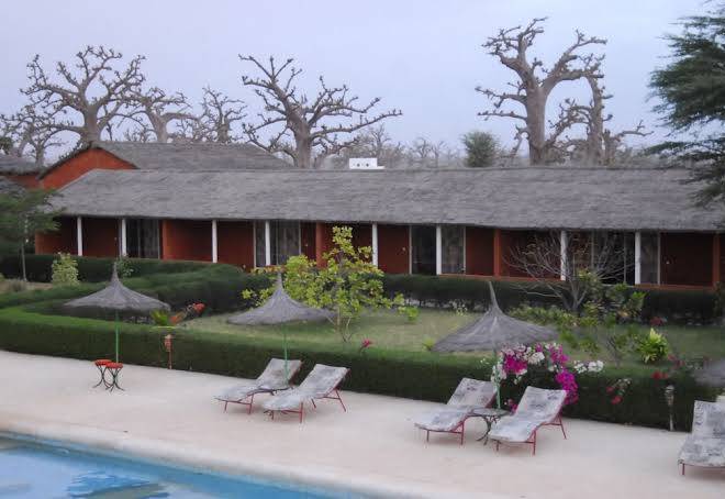 Baobab soleil
