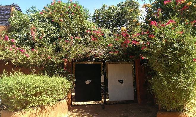 Le bougainvillier