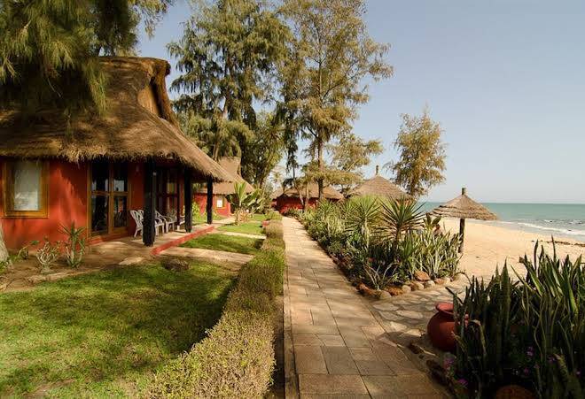 Royal horizon baobab