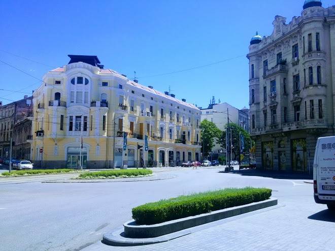Savamala art zebra adriatic blue